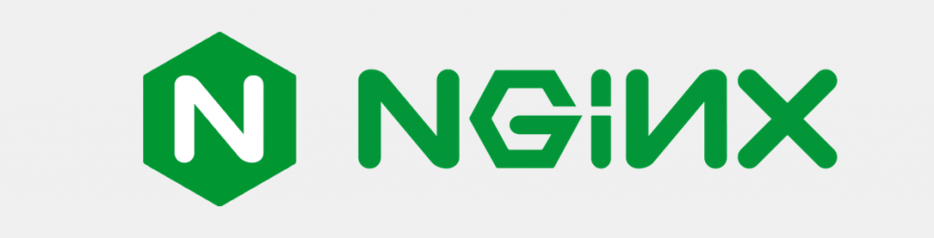 nginx logo